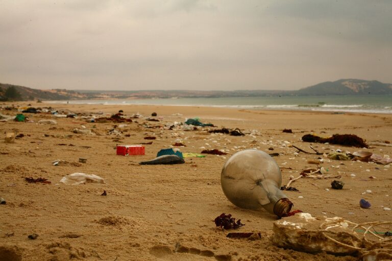 beach, trash, plastic-4914403.jpg